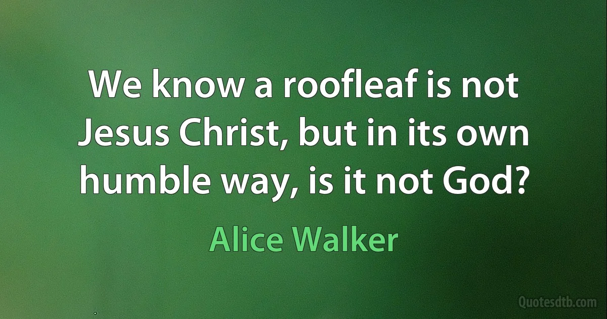 We know a roofleaf is not Jesus Christ, but in its own humble way, is it not God? (Alice Walker)