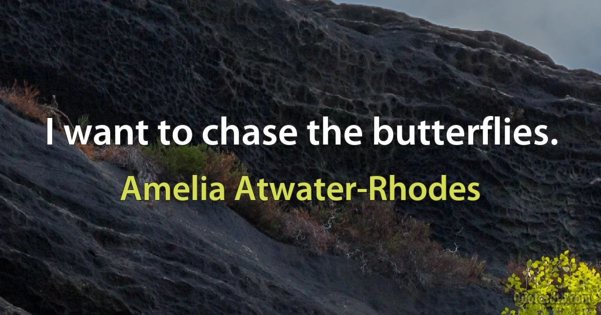 I want to chase the butterflies. (Amelia Atwater-Rhodes)