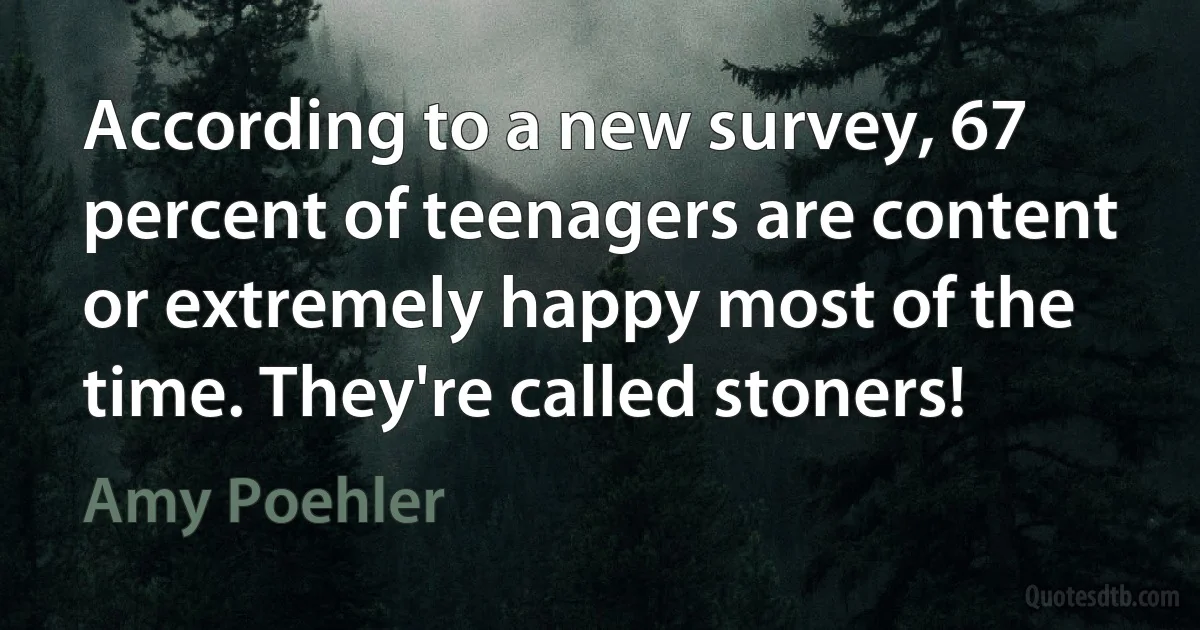 According to a new survey, 67 percent of teenagers are content or extremely happy most of the time. They're called stoners! (Amy Poehler)