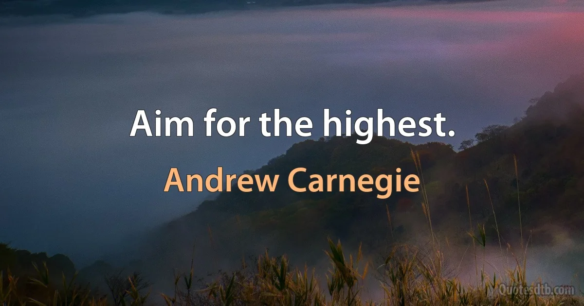 Aim for the highest. (Andrew Carnegie)