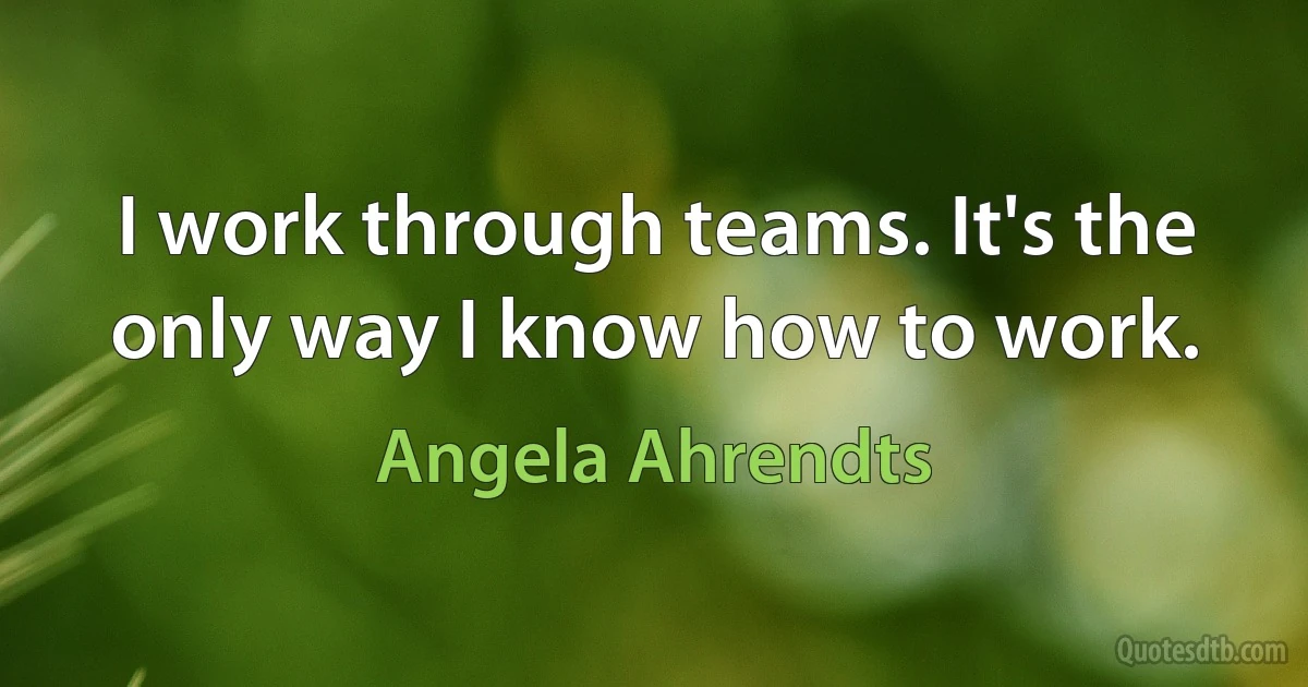 I work through teams. It's the only way I know how to work. (Angela Ahrendts)