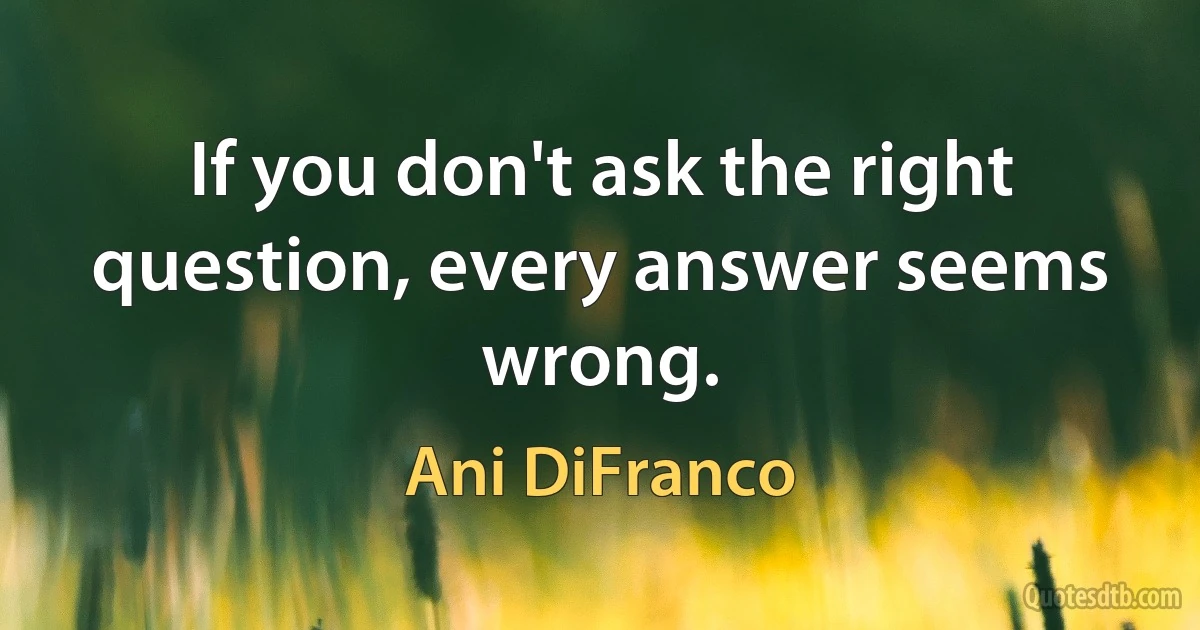 If you don't ask the right question, every answer seems wrong. (Ani DiFranco)