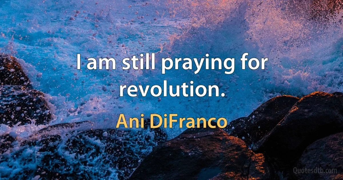 I am still praying for revolution. (Ani DiFranco)