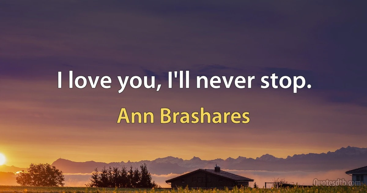 I love you, I'll never stop. (Ann Brashares)