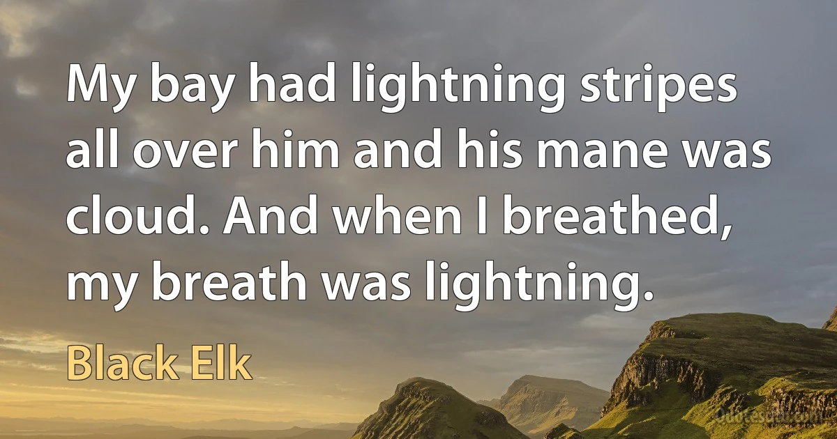 My bay had lightning stripes all over him and his mane was cloud. And when I breathed, my breath was lightning. (Black Elk)