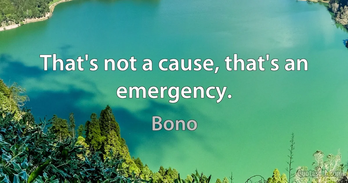 That's not a cause, that's an emergency. (Bono)