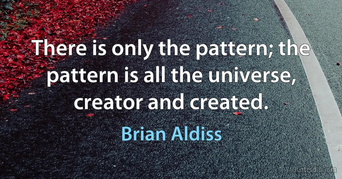 There is only the pattern; the pattern is all the universe, creator and created. (Brian Aldiss)