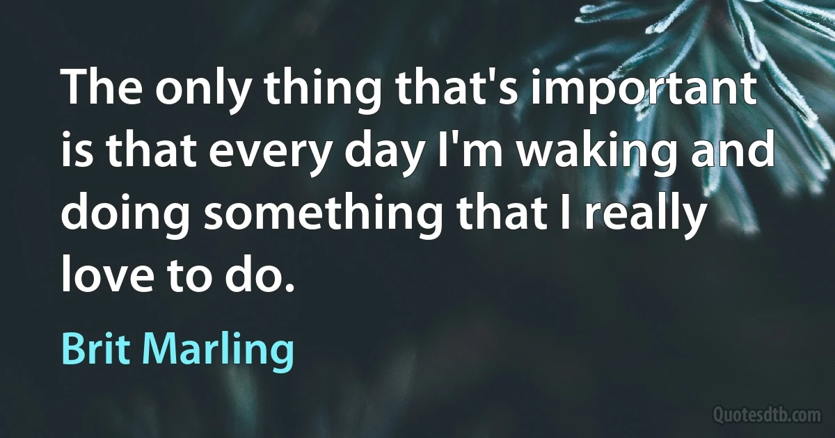 The only thing that's important is that every day I'm waking and doing something that I really love to do. (Brit Marling)