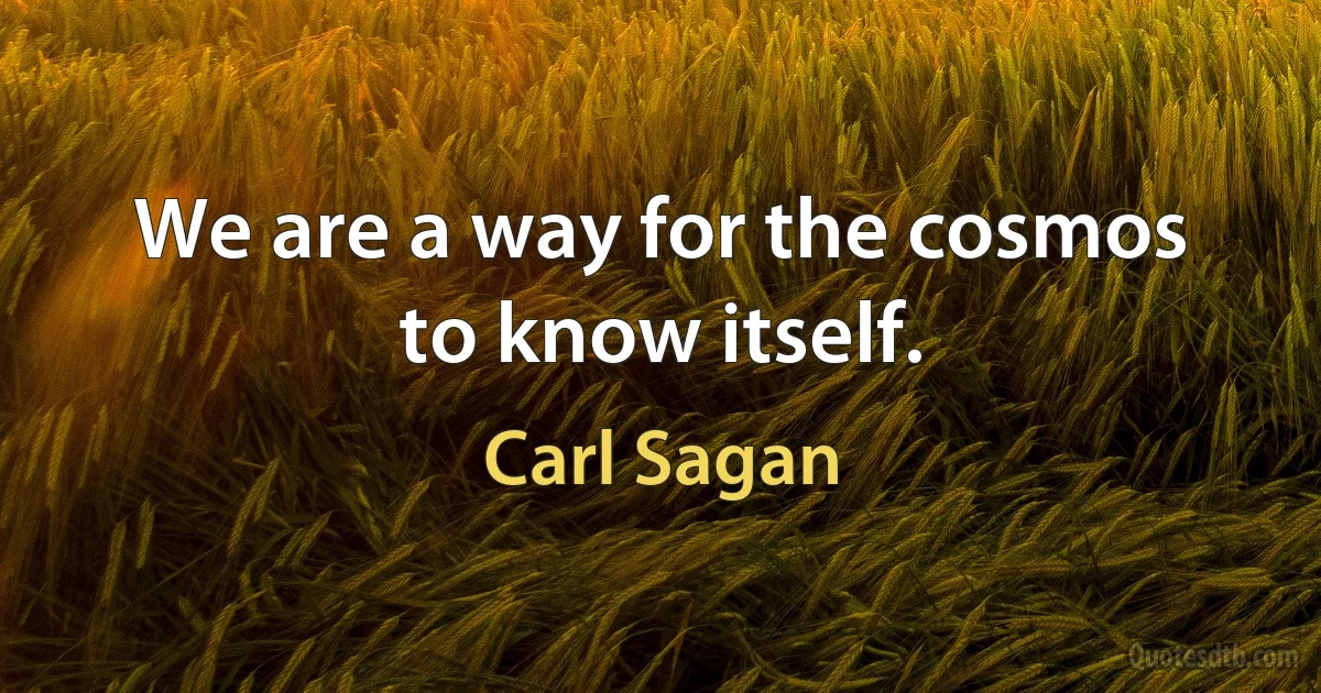 We are a way for the cosmos to know itself. (Carl Sagan)