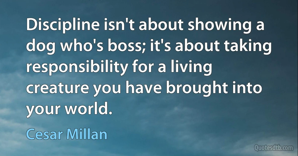 Discipline isn't about showing a dog who's boss; it's about taking
responsibility for a living creature you have brought into your world. (Cesar Millan)