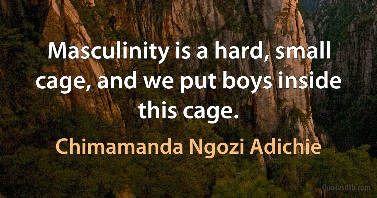 Masculinity is a hard, small cage, and we put boys inside this cage. (Chimamanda Ngozi Adichie)