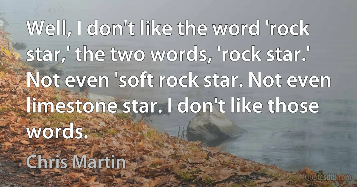 Well, I don't like the word 'rock star,' the two words, 'rock star.' Not even 'soft rock star. Not even limestone star. I don't like those words. (Chris Martin)