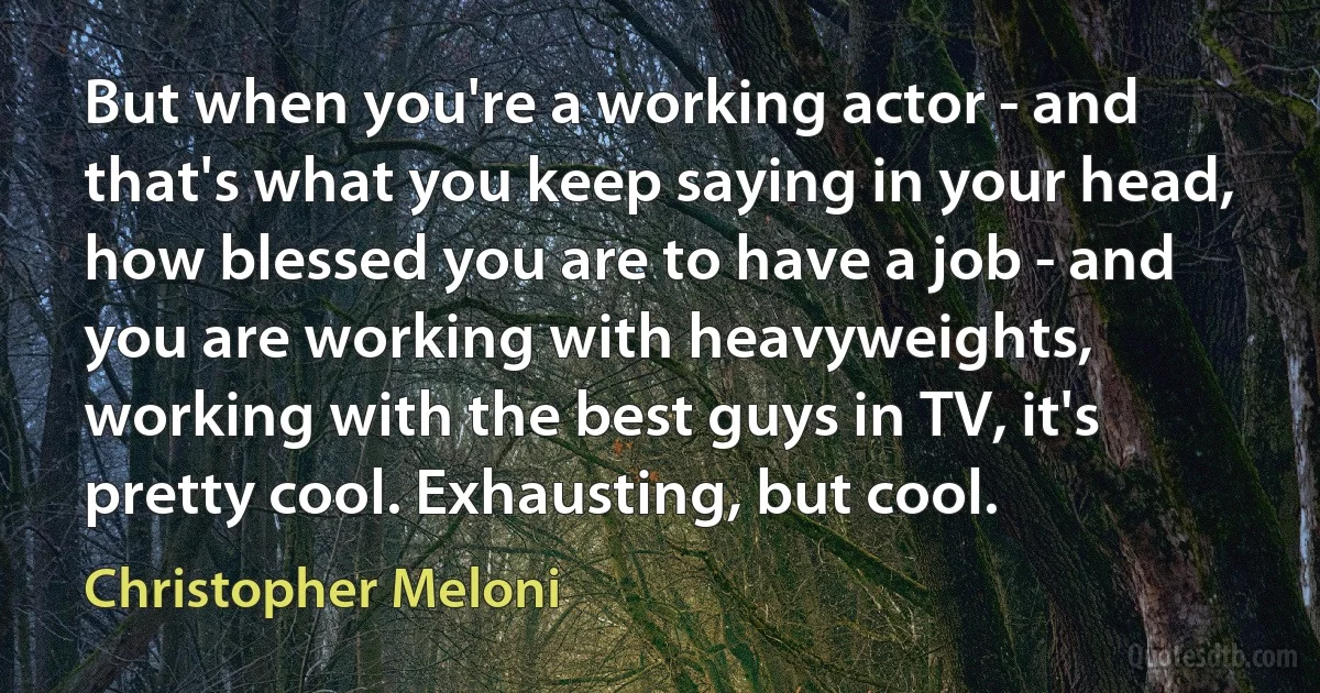 But when you're a working actor - and that's what you keep saying in your head, how blessed you are to have a job - and you are working with heavyweights, working with the best guys in TV, it's pretty cool. Exhausting, but cool. (Christopher Meloni)