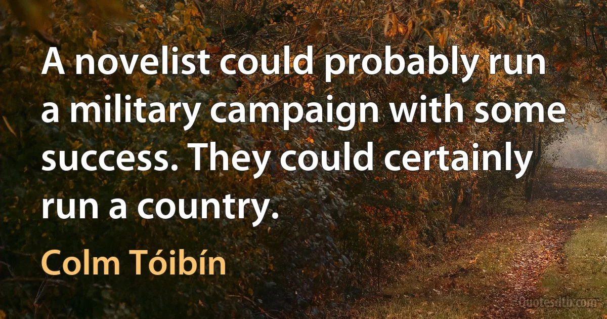 A novelist could probably run a military campaign with some success. They could certainly run a country. (Colm Tóibín)