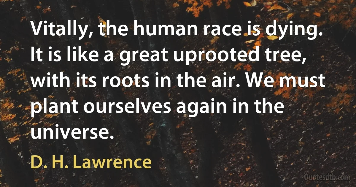 Vitally, the human race is dying. It is like a great uprooted tree, with its roots in the air. We must plant ourselves again in the universe. (D. H. Lawrence)