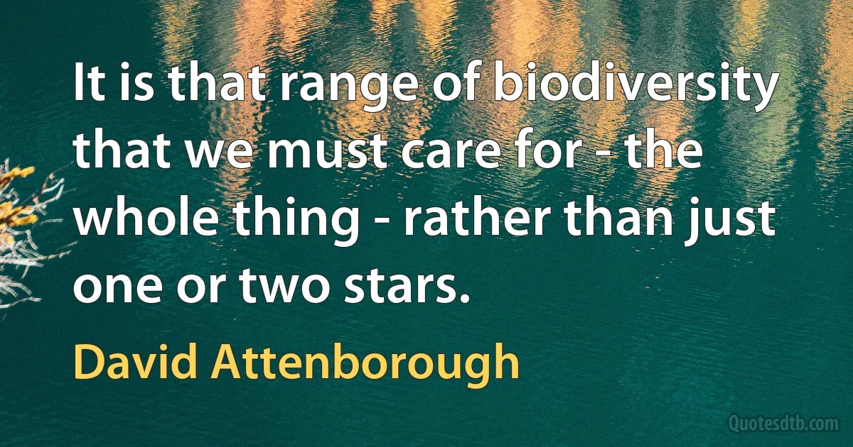 It is that range of biodiversity that we must care for - the whole thing - rather than just one or two stars. (David Attenborough)