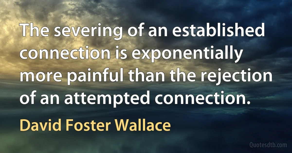 The severing of an established connection is exponentially more painful than the rejection of an attempted connection. (David Foster Wallace)