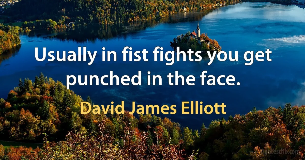 Usually in fist fights you get punched in the face. (David James Elliott)