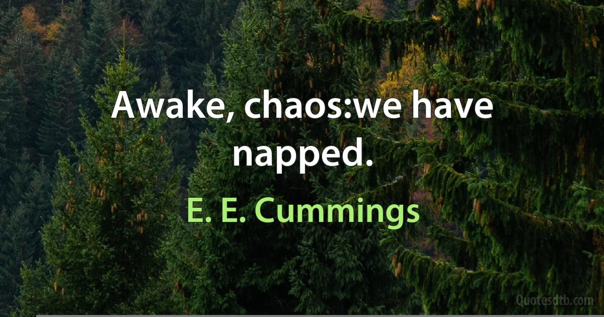 Awake, chaos:we have napped. (E. E. Cummings)