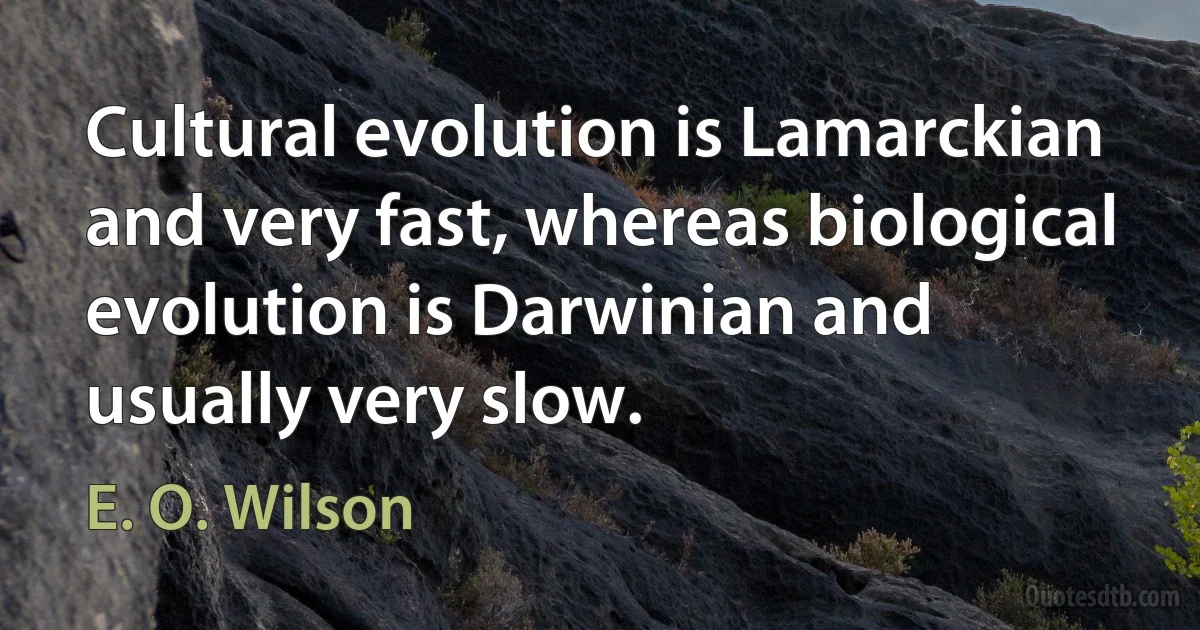 Cultural evolution is Lamarckian and very fast, whereas biological evolution is Darwinian and usually very slow. (E. O. Wilson)