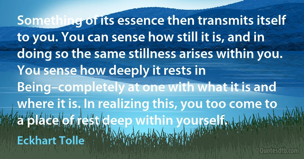 Something of its essence then transmits itself to you. You can sense how still it is, and in doing so the same stillness arises within you. You sense how deeply it rests in Being–completely at one with what it is and where it is. In realizing this, you too come to a place of rest deep within yourself. (Eckhart Tolle)