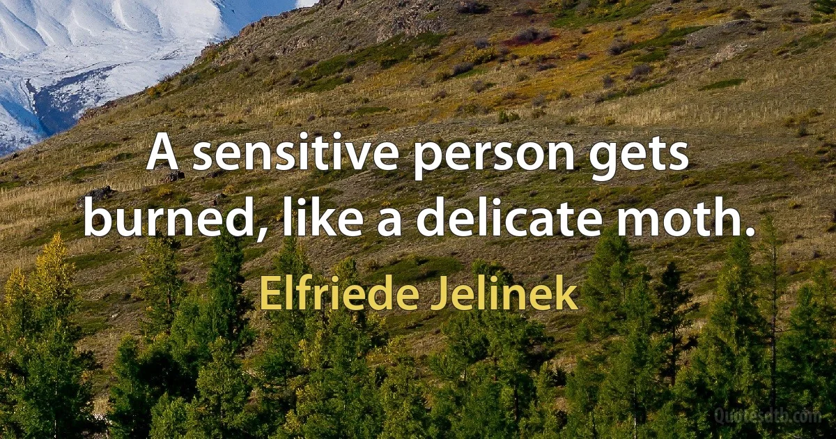 A sensitive person gets burned, like a delicate moth. (Elfriede Jelinek)