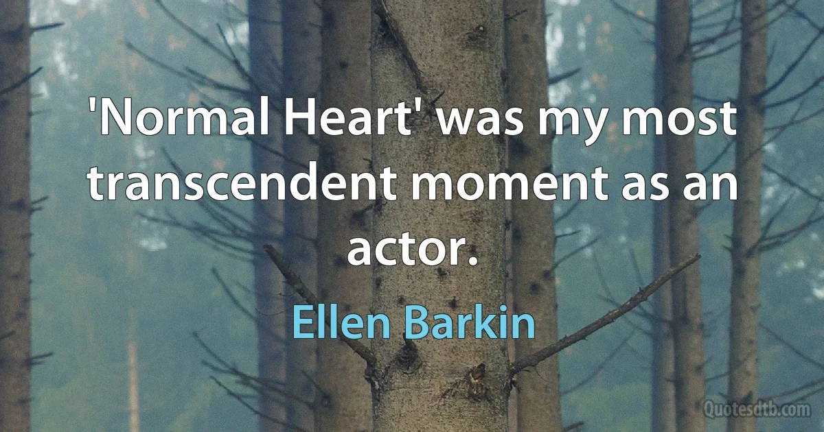 'Normal Heart' was my most transcendent moment as an actor. (Ellen Barkin)