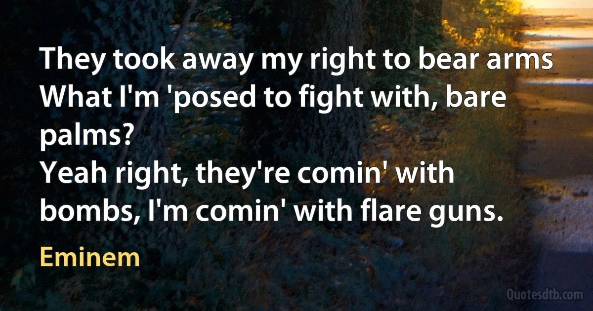 They took away my right to bear arms
What I'm 'posed to fight with, bare palms?
Yeah right, they're comin' with bombs, I'm comin' with flare guns. (Eminem)