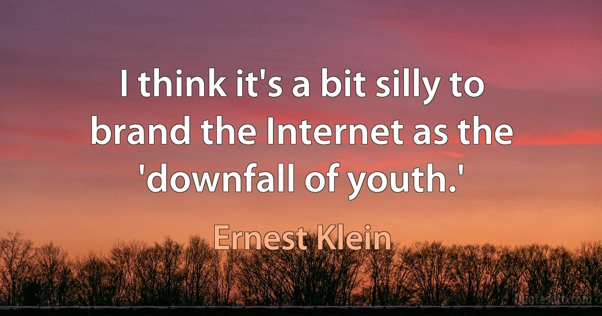 I think it's a bit silly to brand the Internet as the 'downfall of youth.' (Ernest Klein)