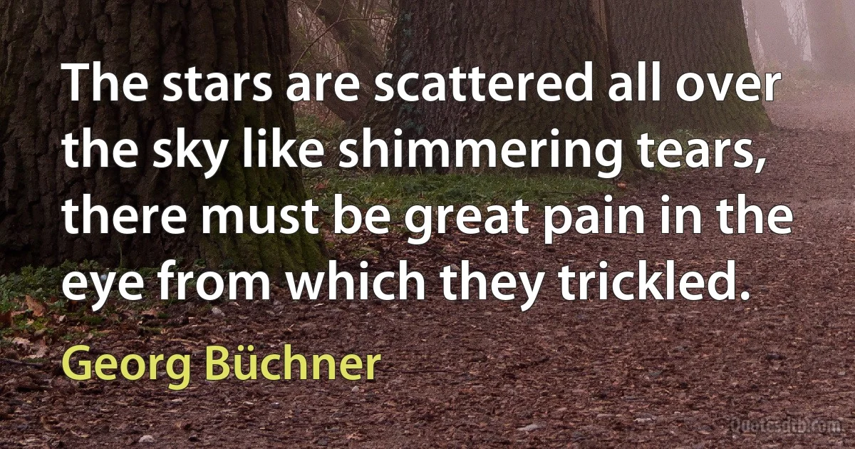 The stars are scattered all over the sky like shimmering tears, there must be great pain in the eye from which they trickled. (Georg Büchner)