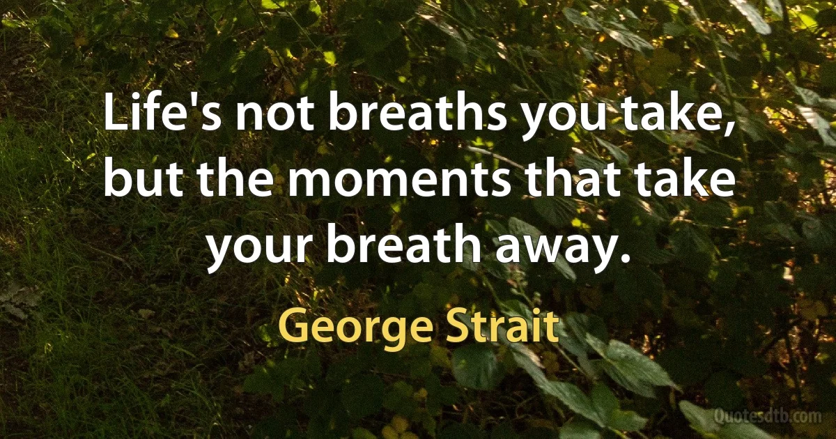 Life's not breaths you take, but the moments that take your breath away. (George Strait)