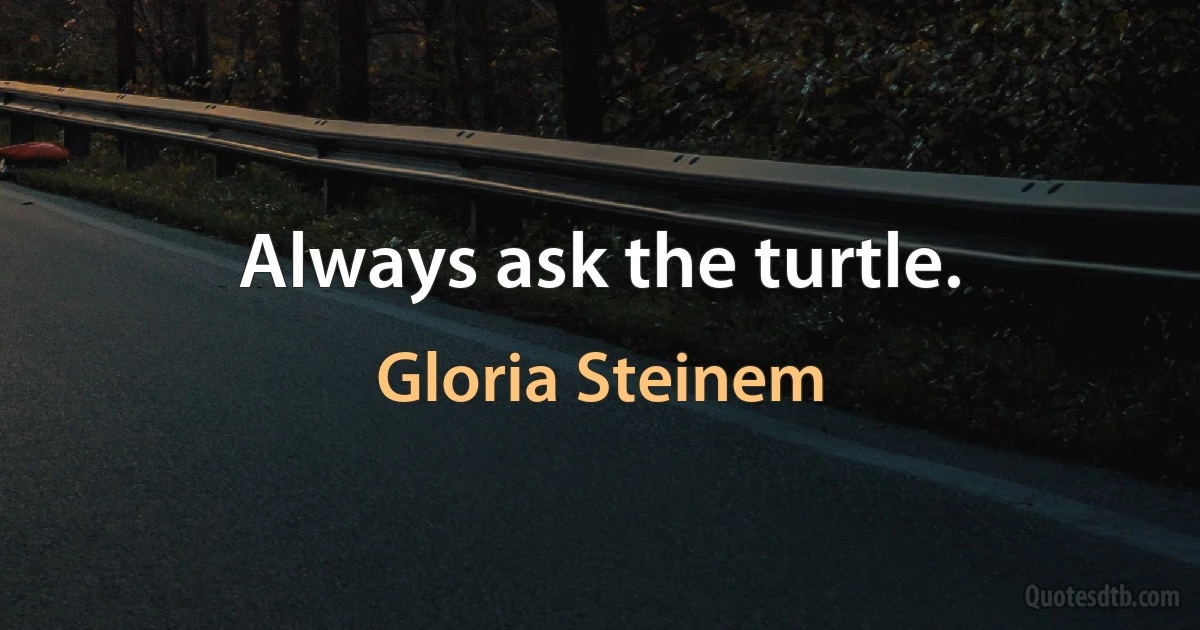 Always ask the turtle. (Gloria Steinem)