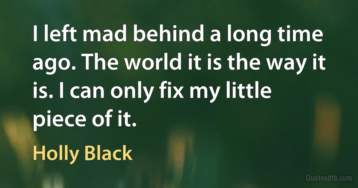 I left mad behind a long time ago. The world it is the way it is. I can only fix my little piece of it. (Holly Black)