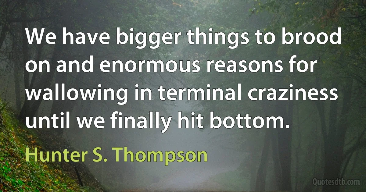 We have bigger things to brood on and enormous reasons for wallowing in terminal craziness until we finally hit bottom. (Hunter S. Thompson)