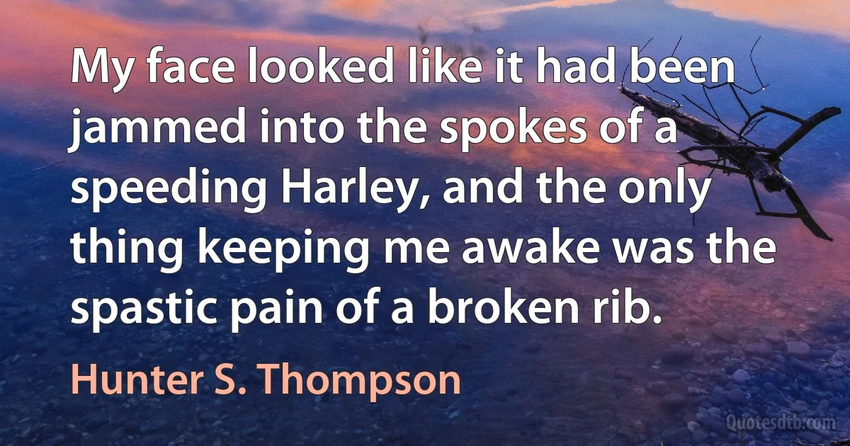 My face looked like it had been jammed into the spokes of a speeding Harley, and the only thing keeping me awake was the spastic pain of a broken rib. (Hunter S. Thompson)