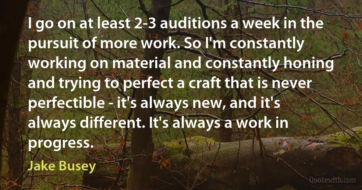 I go on at least 2-3 auditions a week in the pursuit of more work. So I'm constantly working on material and constantly honing and trying to perfect a craft that is never perfectible - it's always new, and it's always different. It's always a work in progress. (Jake Busey)