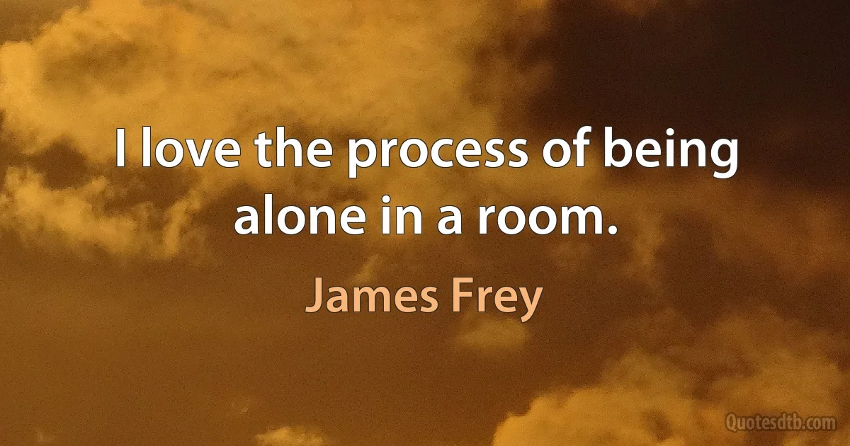 I love the process of being alone in a room. (James Frey)