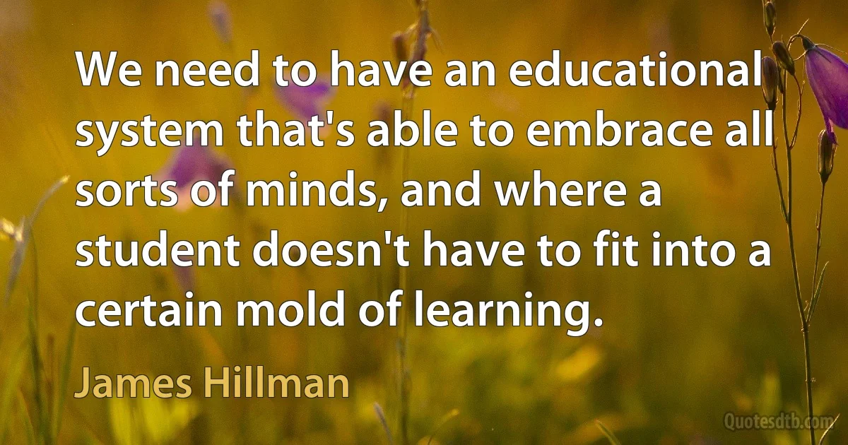 We need to have an educational system that's able to embrace all sorts of minds, and where a student doesn't have to fit into a certain mold of learning. (James Hillman)