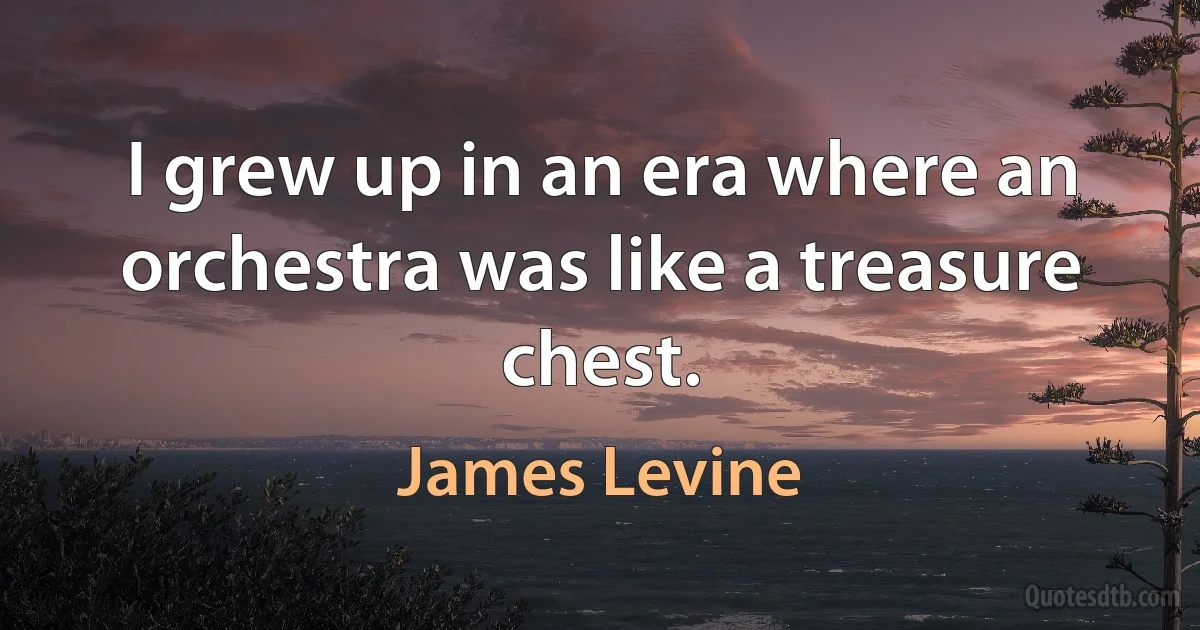 I grew up in an era where an orchestra was like a treasure chest. (James Levine)