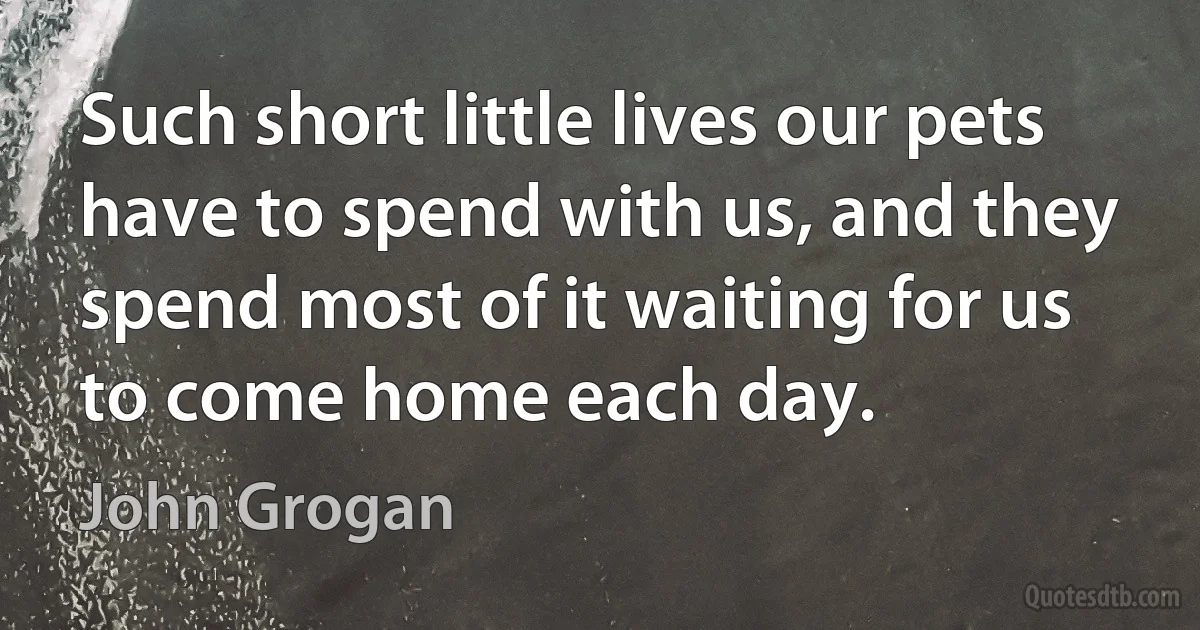 Such short little lives our pets have to spend with us, and they spend most of it waiting for us to come home each day. (John Grogan)