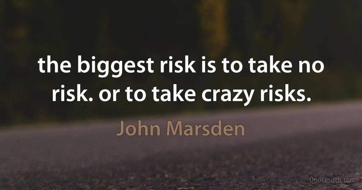 the biggest risk is to take no risk. or to take crazy risks. (John Marsden)