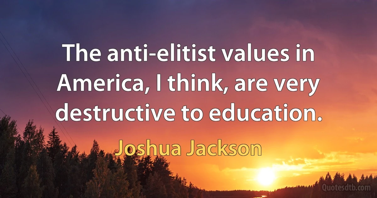 The anti-elitist values in America, I think, are very destructive to education. (Joshua Jackson)