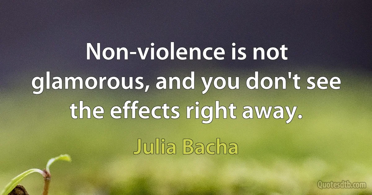 Non-violence is not glamorous, and you don't see the effects right away. (Julia Bacha)