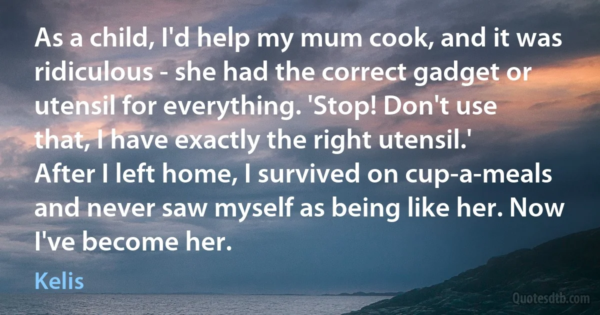 As a child, I'd help my mum cook, and it was ridiculous - she had the correct gadget or utensil for everything. 'Stop! Don't use that, I have exactly the right utensil.' After I left home, I survived on cup-a-meals and never saw myself as being like her. Now I've become her. (Kelis)