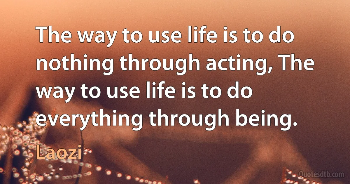 The way to use life is to do nothing through acting, The way to use life is to do everything through being. (Laozi)