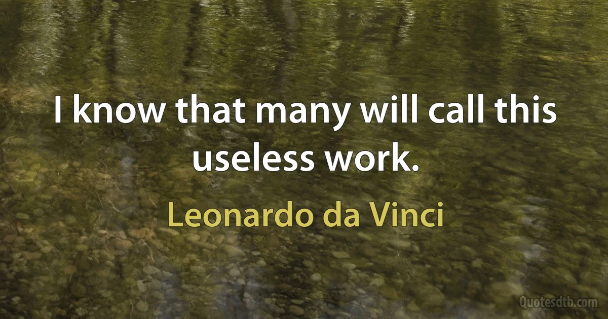 I know that many will call this useless work. (Leonardo da Vinci)