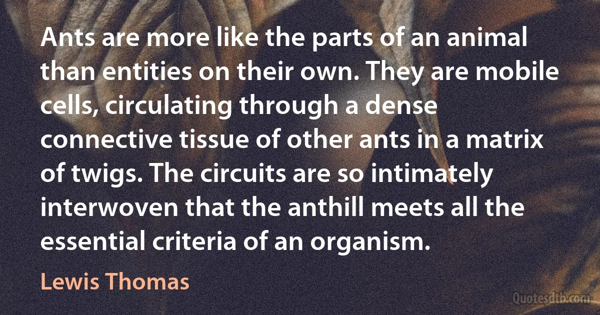 Ants are more like the parts of an animal than entities on their own. They are mobile cells, circulating through a dense connective tissue of other ants in a matrix of twigs. The circuits are so intimately interwoven that the anthill meets all the essential criteria of an organism. (Lewis Thomas)