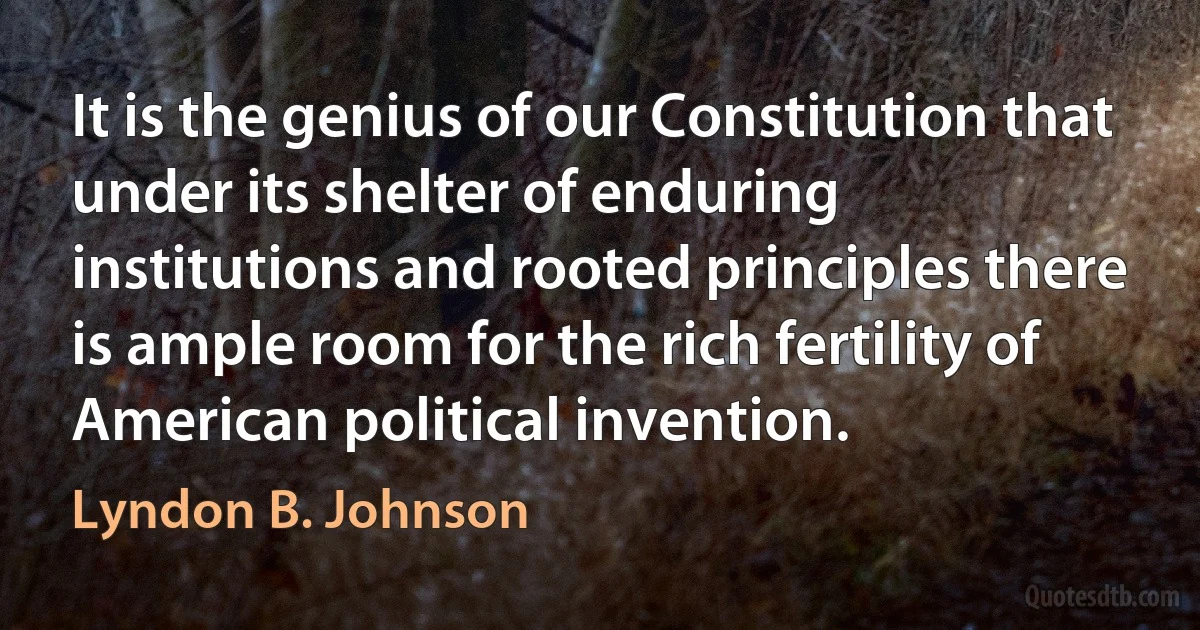 It is the genius of our Constitution that under its shelter of enduring institutions and rooted principles there is ample room for the rich fertility of American political invention. (Lyndon B. Johnson)