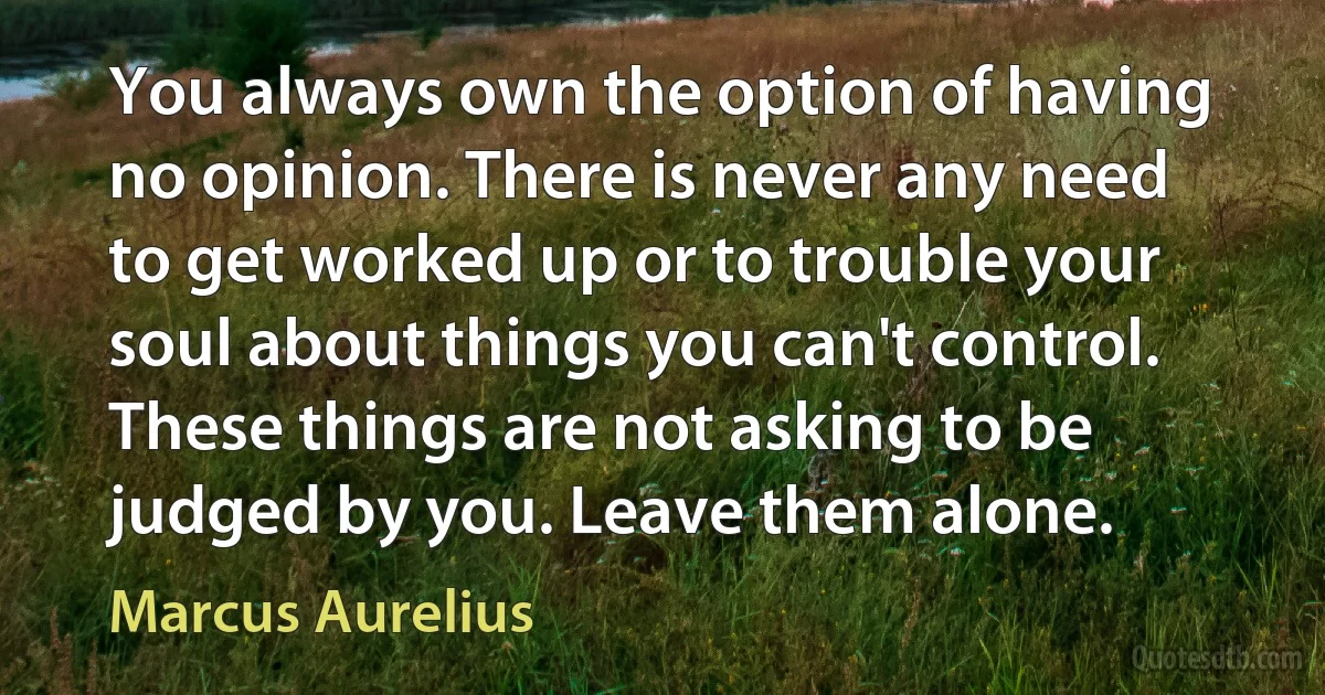 You always own the option of having no opinion. There is never any need to get worked up or to trouble your soul about things you can't control. These things are not asking to be judged by you. Leave them alone. (Marcus Aurelius)