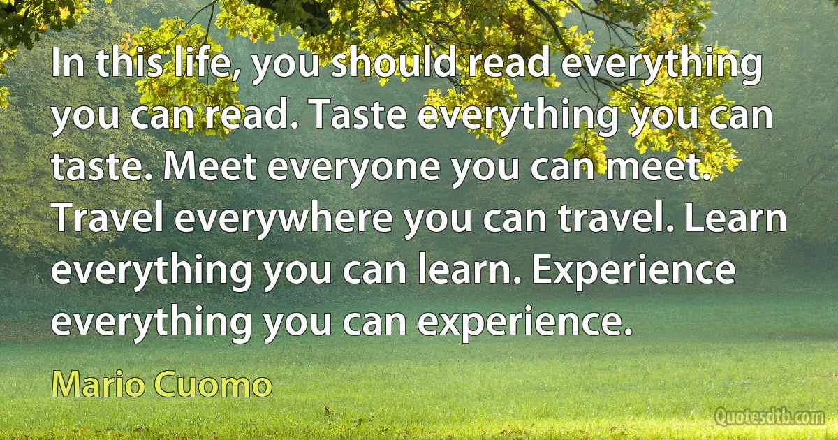 In this life, you should read everything you can read. Taste everything you can taste. Meet everyone you can meet. Travel everywhere you can travel. Learn everything you can learn. Experience everything you can experience. (Mario Cuomo)